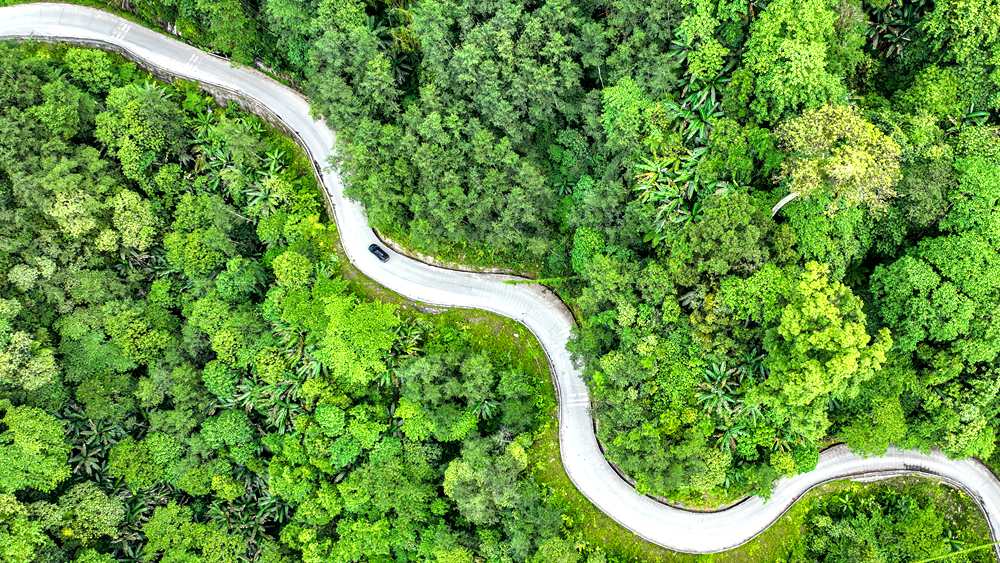 穿行于綠色間，生態(tài)優(yōu)良。張澤坤攝