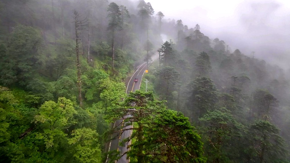 穿行于綠色間。張澤坤攝
