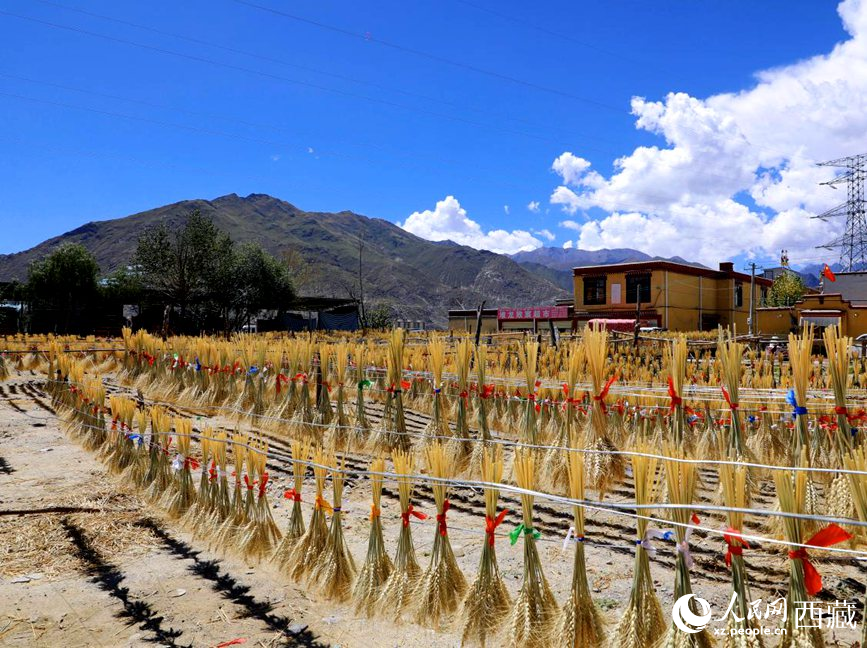 幸福生活曬出來。人民網(wǎng) 李海霞攝