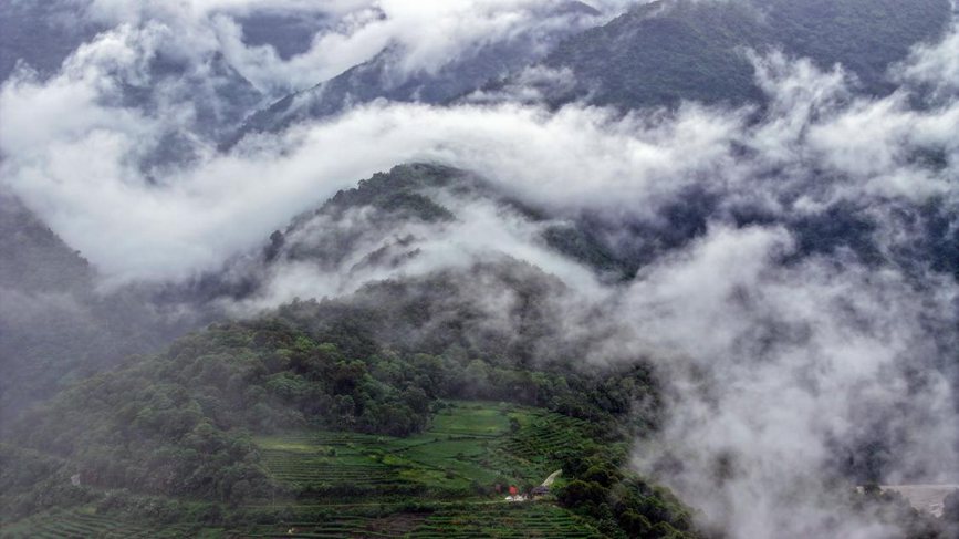 秋日里的墨脫云海。張澤坤攝