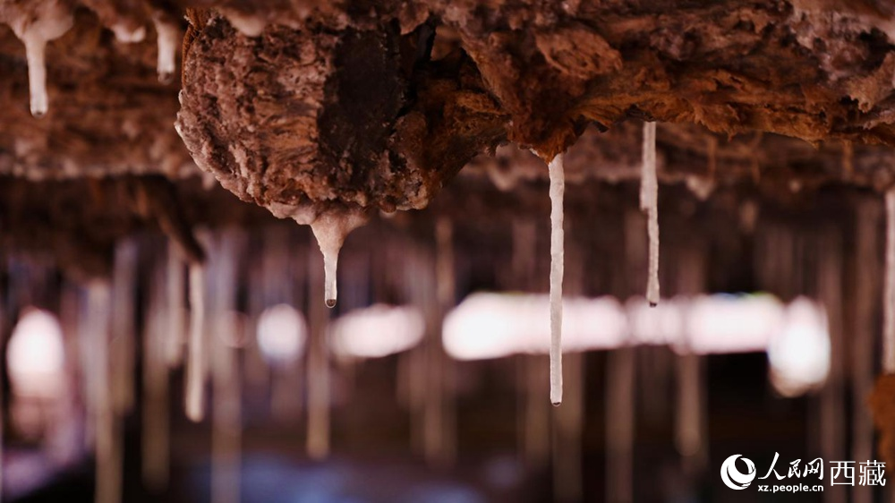 自然滲下的鹽柱結(jié)晶。人民網(wǎng)記者 次仁羅布攝