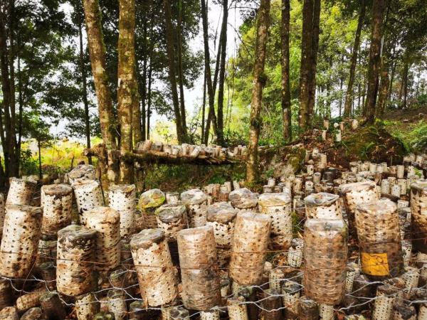 幾代建設(shè)者，歷經(jīng)半個(gè)多世紀(jì)完成！這是一條怎樣的公路？