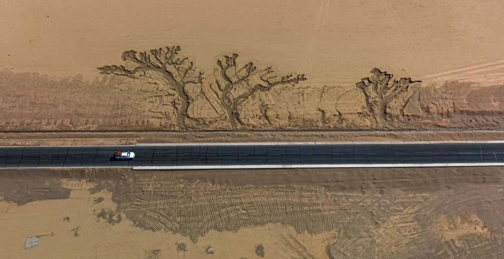 位于國道216沿線的“大地之樹”。邊巴多吉攝