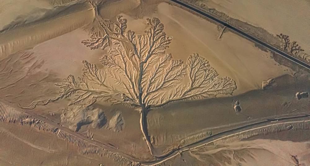 壯觀的“大地之樹”。邊巴多吉攝