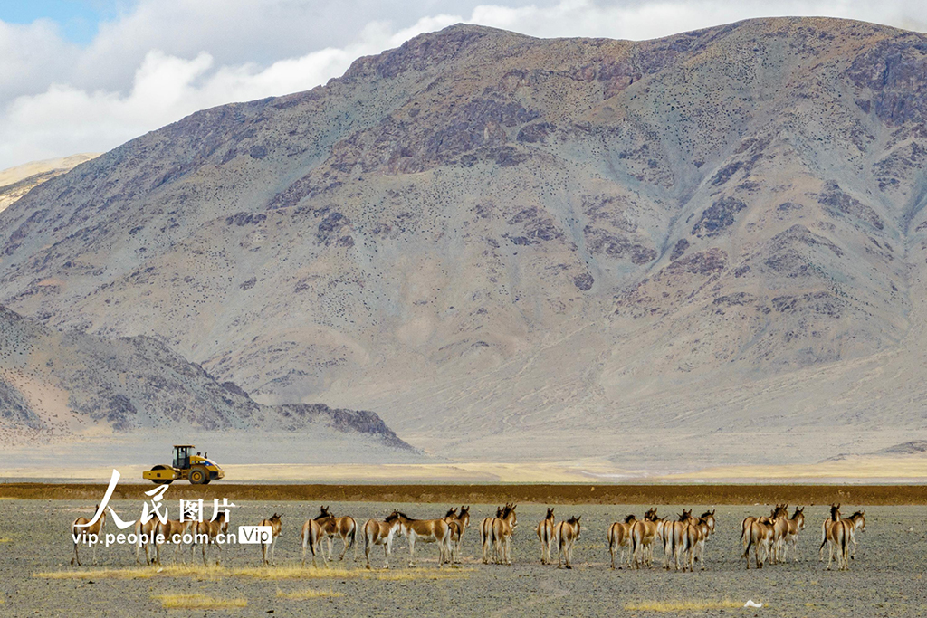 西藏阿里：高原公路建設忙【4】