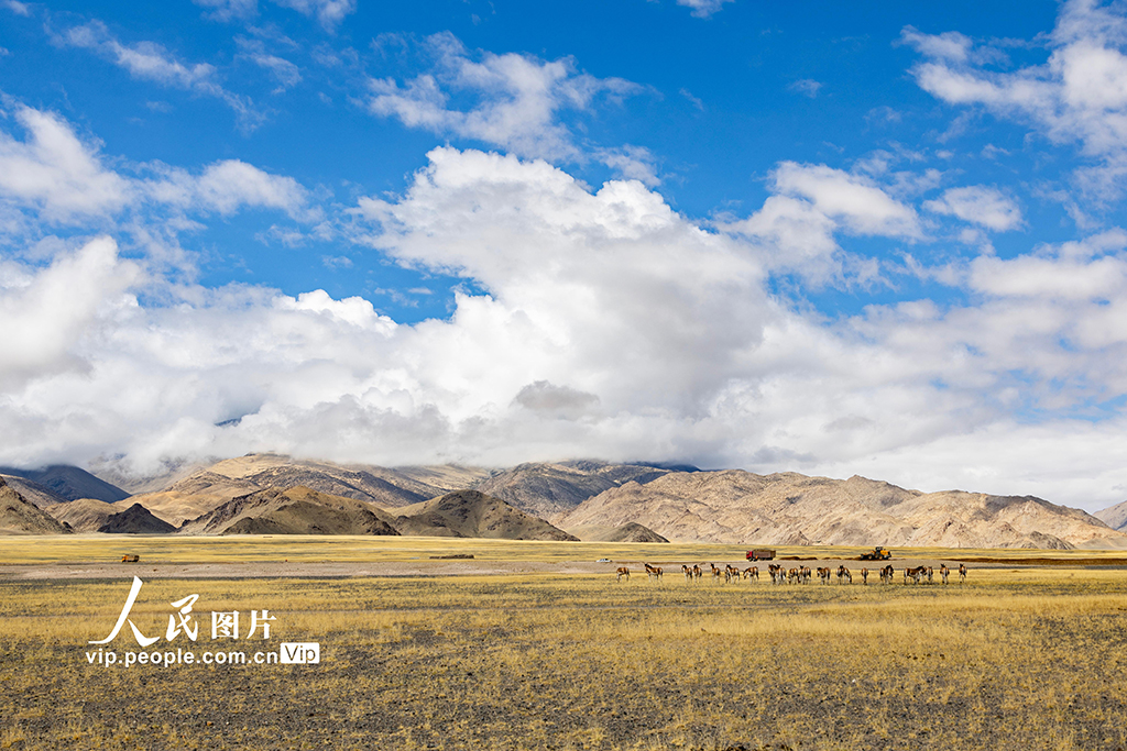 西藏阿里：高原公路建設忙【10】