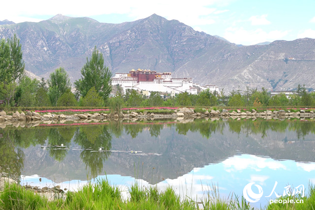 雄偉的布達拉宮與綠意蔥蘢的南山隔河相望。人民網(wǎng)記者 劉凡攝