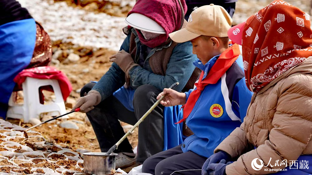 西藏定日：思政課“搬”進育苗基地