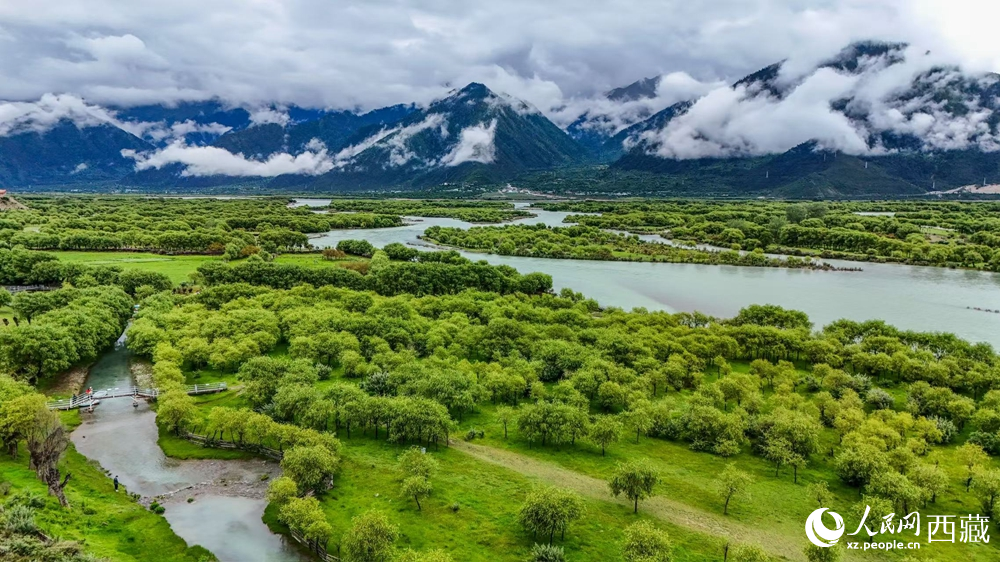 鳥(niǎo)瞰盛夏季節(jié)的雅尼濕地風(fēng)光。人民網(wǎng)記者 次仁羅布攝