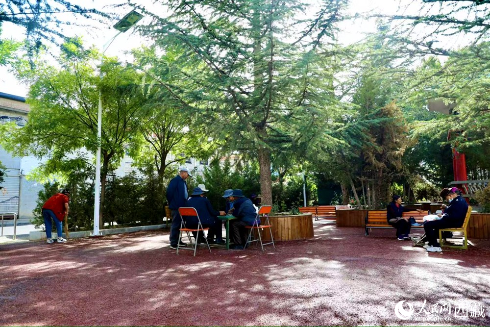 老人們?cè)诰G樹(shù)成蔭的“社區(qū)會(huì)客廳”中對(duì)弈休憩。人民網(wǎng)記者 次仁羅布攝