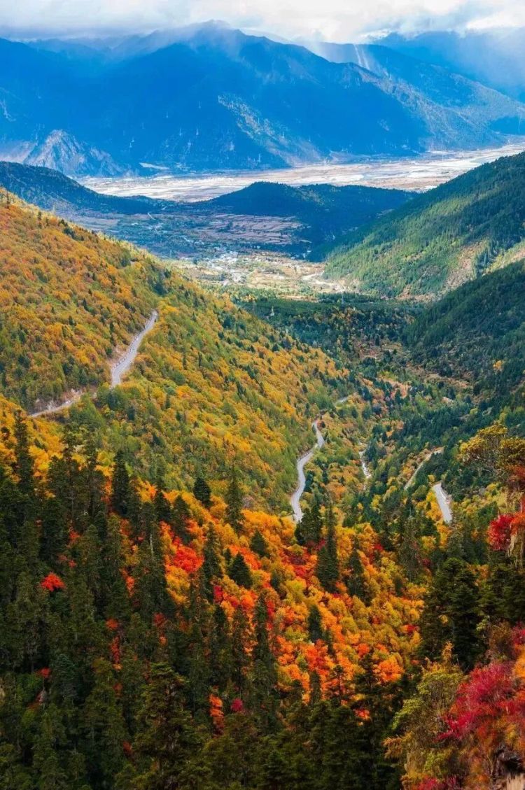 懂西藏的人，一定不會(huì)錯(cuò)過(guò)林芝的秋天