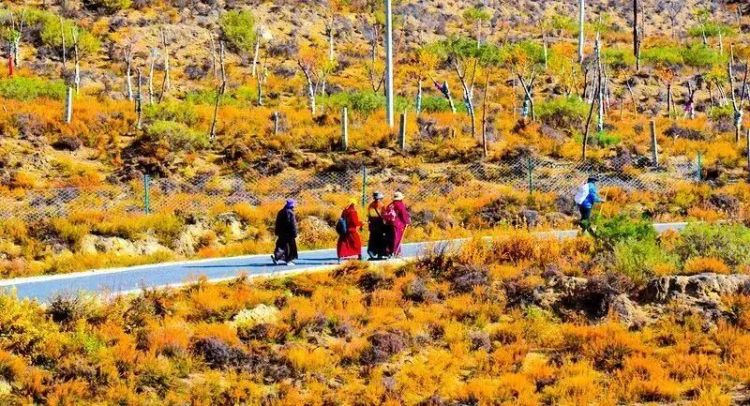 懂西藏的人，一定不會(huì)錯(cuò)過(guò)林芝的秋天
