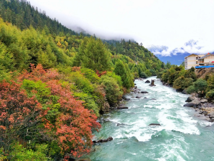 懂西藏的人，一定不會(huì)錯(cuò)過(guò)林芝的秋天
