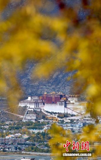 西藏拉薩深秋如畫