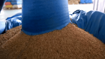 青稞“蛻變”，牦?！俺鋈Α保】次鞑剞r(nóng)牧民的“十四五”豐收答卷