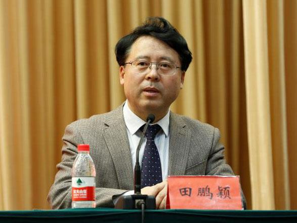 田鵬穎：投入其中、樂(lè)在其中、安身其中