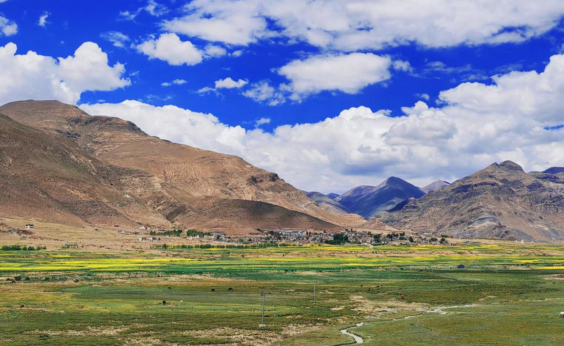 羌塘草原上的美好圖景。人民網(wǎng) 李海霞攝