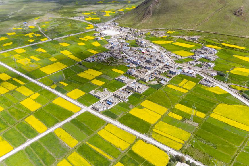 航拍道布龍村，依山傍水，阡陌縱橫。