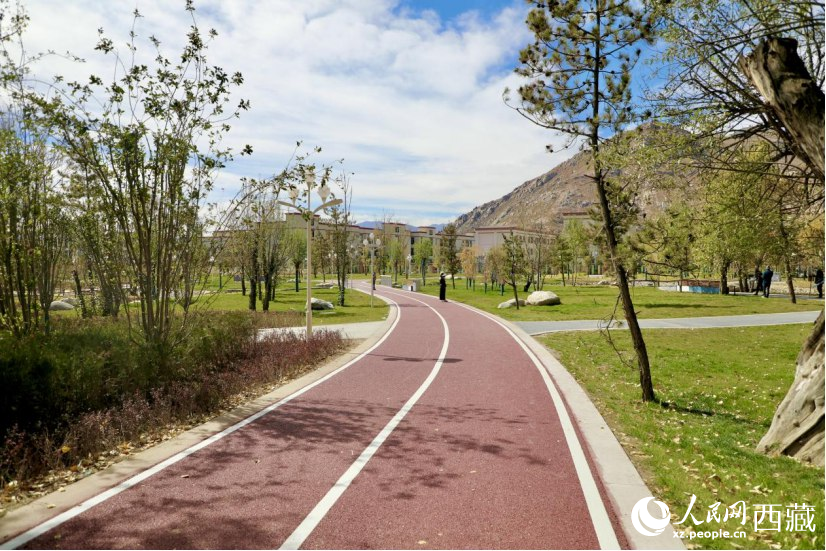 圖為青年林卡公園新設的跑道。人民網(wǎng)記者 次仁羅布攝