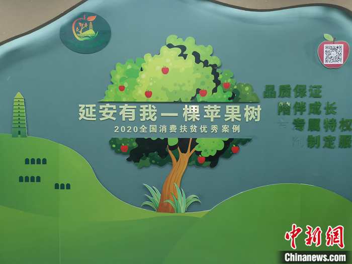 “延安有我一棵蘋果樹”。<a target='_blank'  ><p  align=