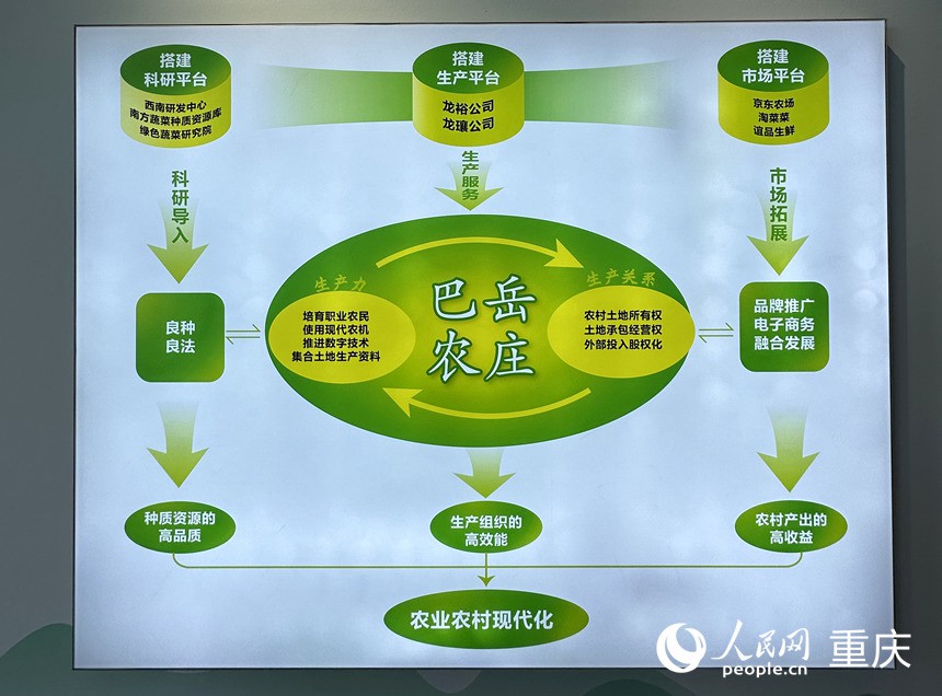 “巴岳農(nóng)莊”運(yùn)作示意圖。人民網(wǎng)記者 劉政寧攝