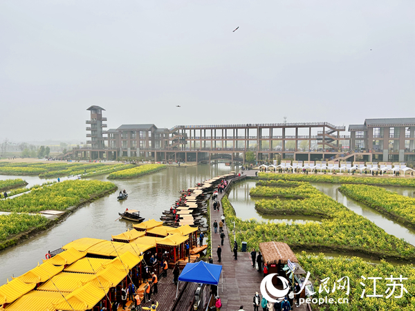 興化千垛菜花旅游節(jié)期間，游客前來打卡。人民網(wǎng) 王丹丹攝